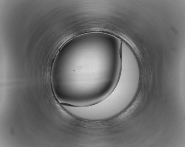 X0000111350801200907171142