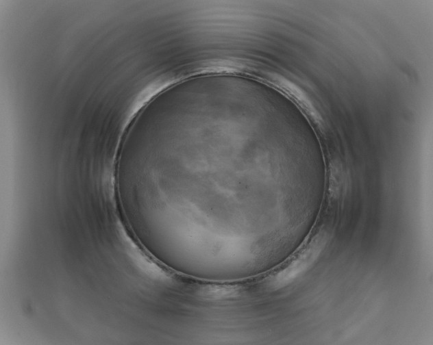 X0000111350802200907171142