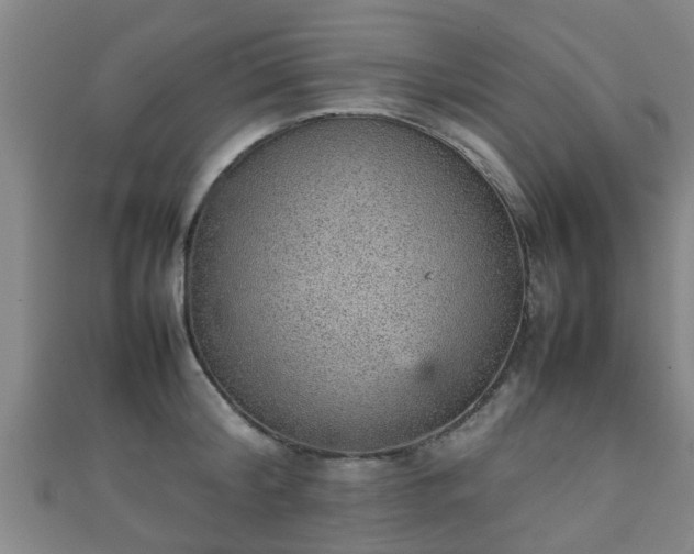 X0000111350804200907171142