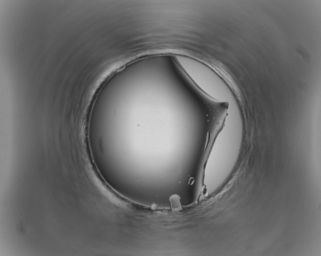 X0000111350805200907171142