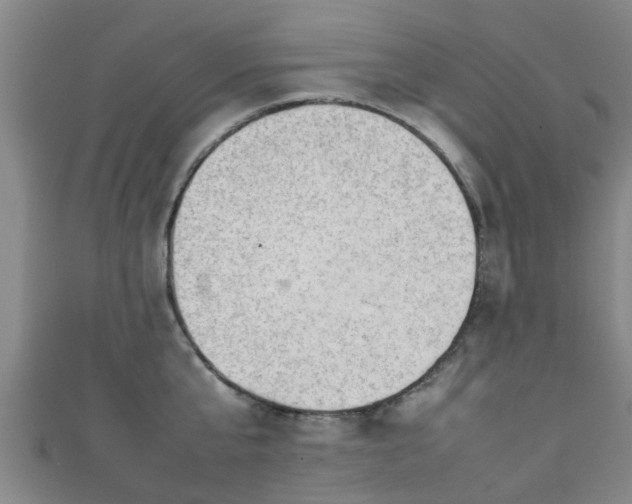 X0000111350807200907171142