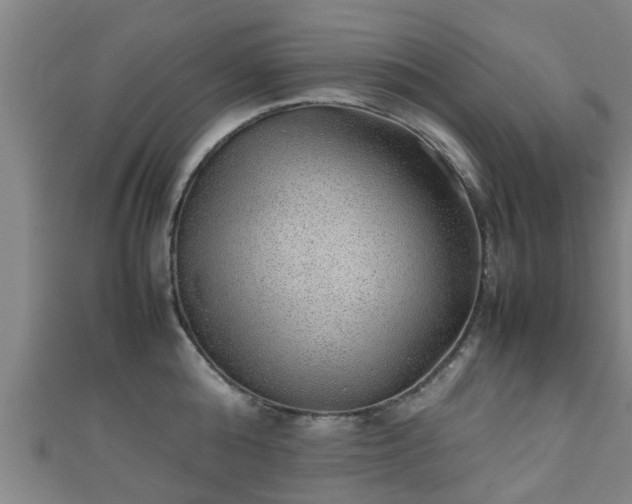 X0000111350808200907171142