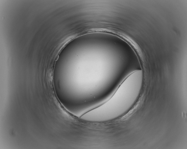 X0000111350809200907171142