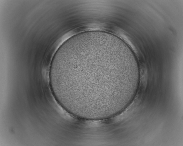 X0000111350810200907171142