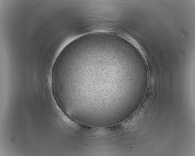 X0000111350811200907171142