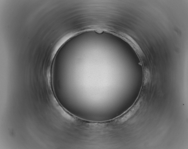 X0000111350812200907171142