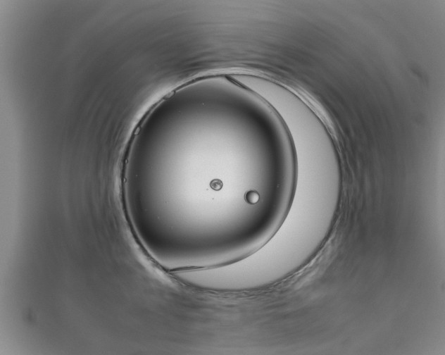 X0000111350813200907171142