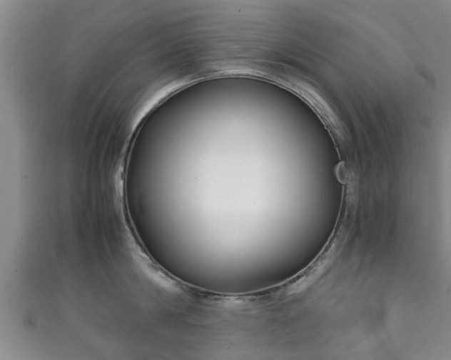 X0000111350814200907171141