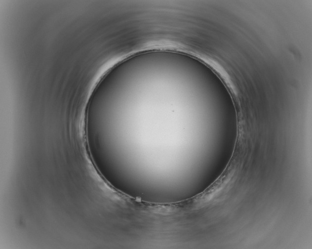 X0000111350815200907171141