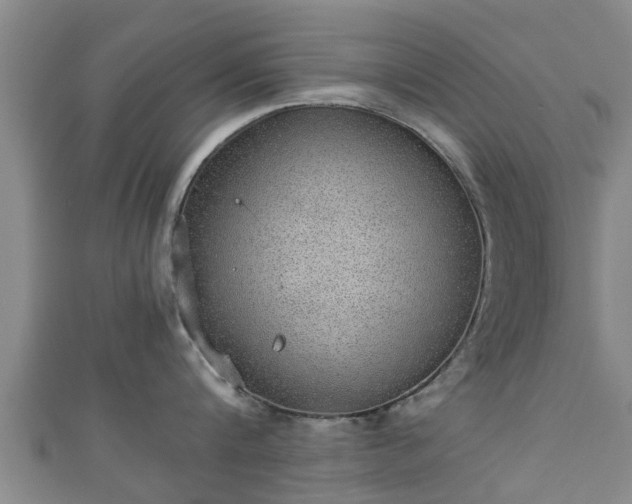 X0000111350816200907171141