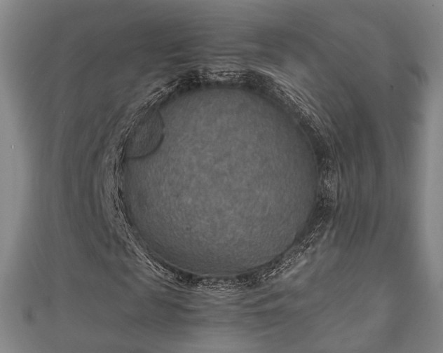 X0000111350817200907171141