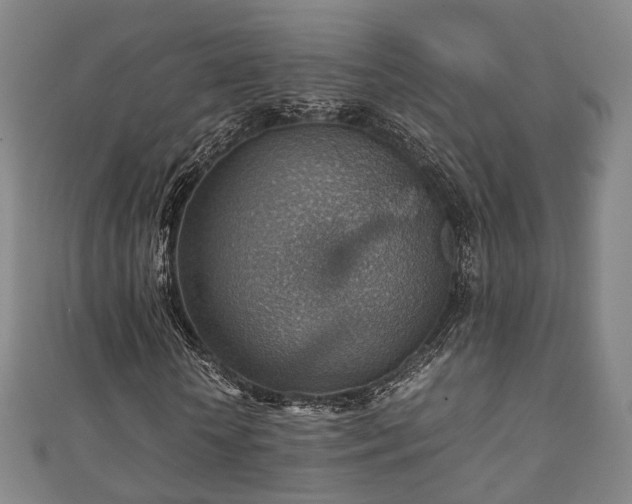 X0000111350818200907171141