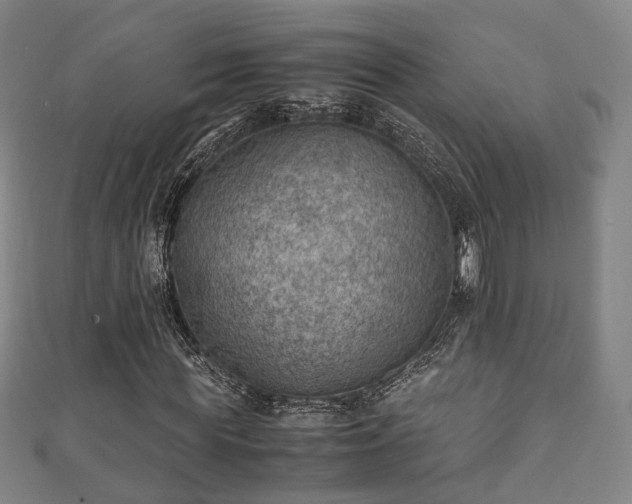 X0000111350819200907171141