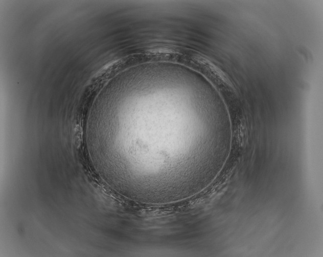 X0000111350821200907171141