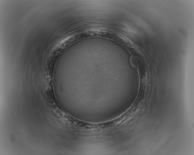 X0000111350822200907171141