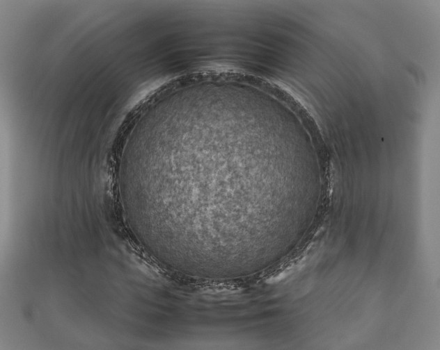 X0000111350823200907171141