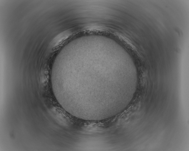 X0000111350824200907171141