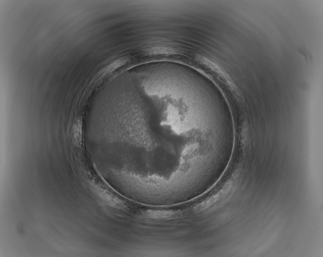 X0000111350825200907171141