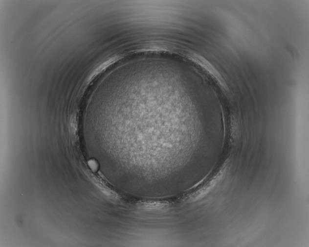 X0000111350826200907171141