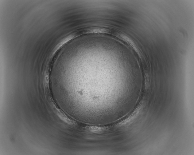 X0000111350827200907171141