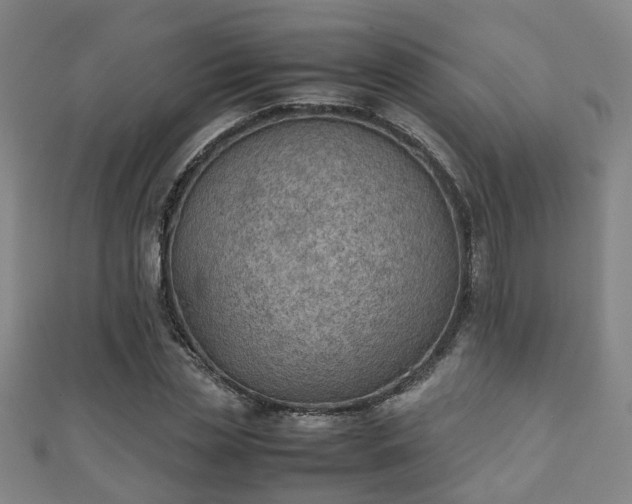 X0000111350829200907171141