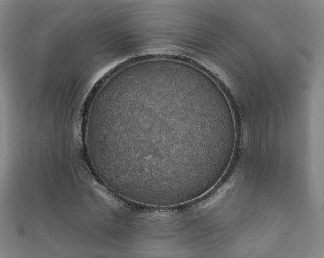 X0000111350830200907171141