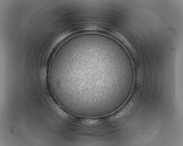 X0000111350831200907171141