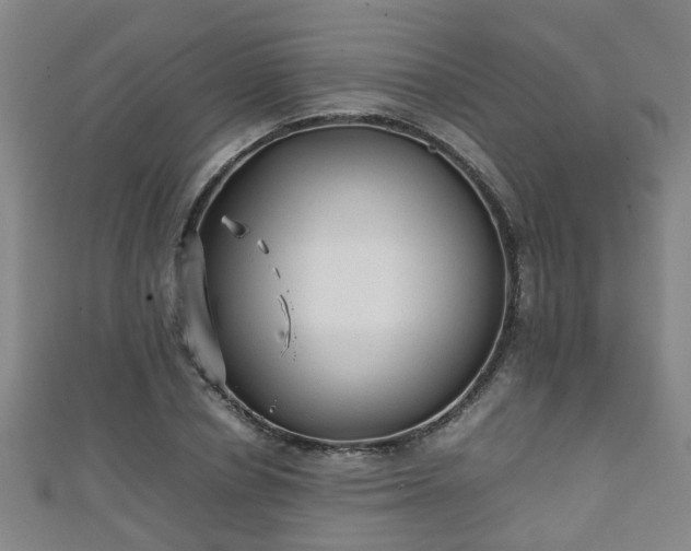 X0000111350834200907171141