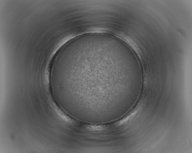 X0000111350835200907171141