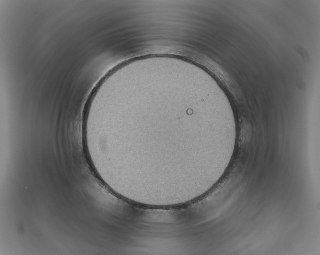 X0000111350836200907171141