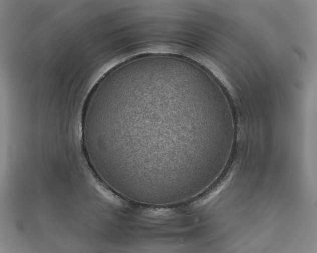 X0000111350837200907171141