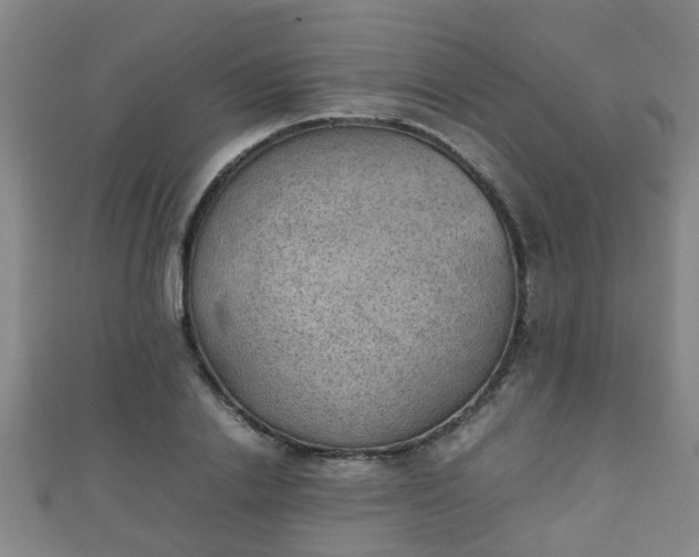 X0000111350838200907171141