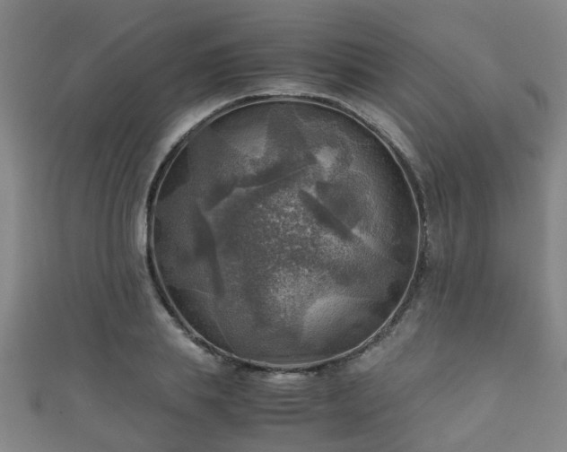 X0000111350839200907171141