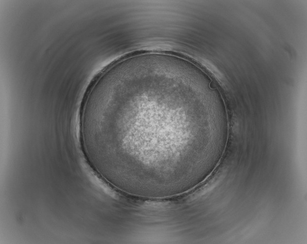 X0000111350840200907171141