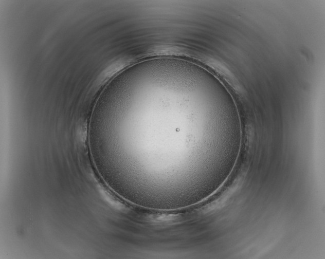 X0000111350841200907171141