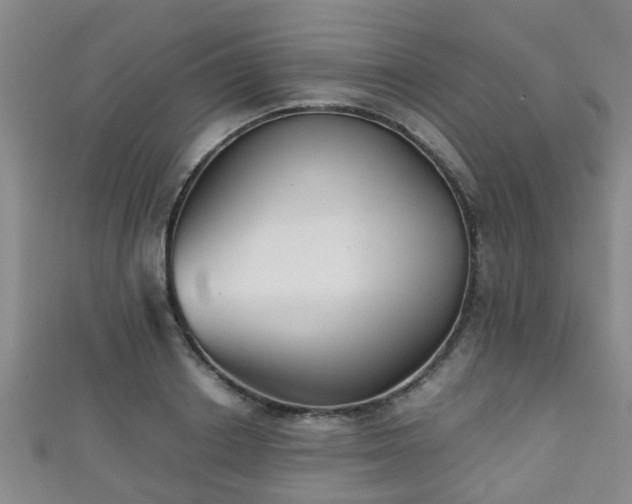 X0000111350842200907171141