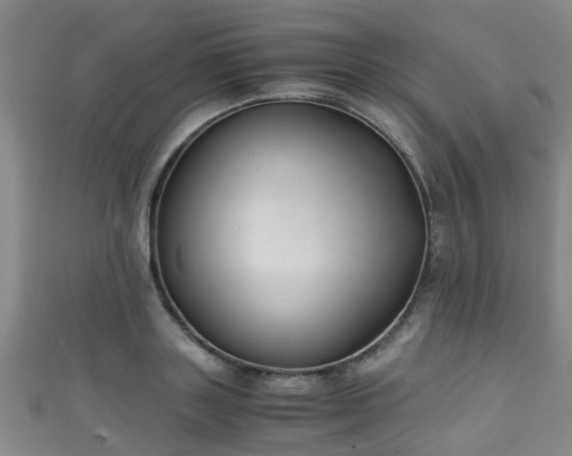 X0000111350843200907171141