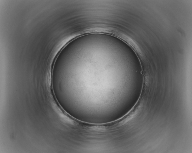 X0000111350844200907171141