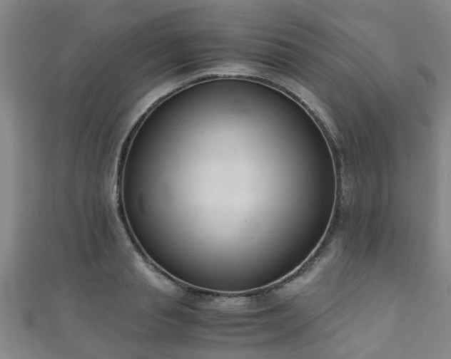 X0000111350845200907171141