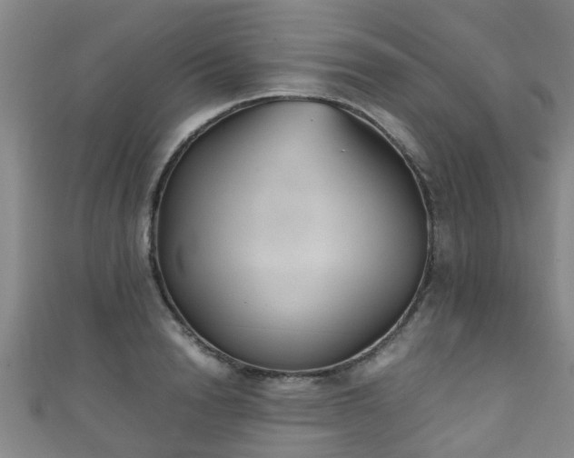 X0000111350846200907171141