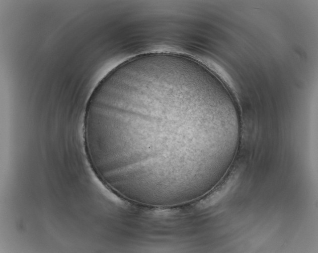 X0000111350847200907171141