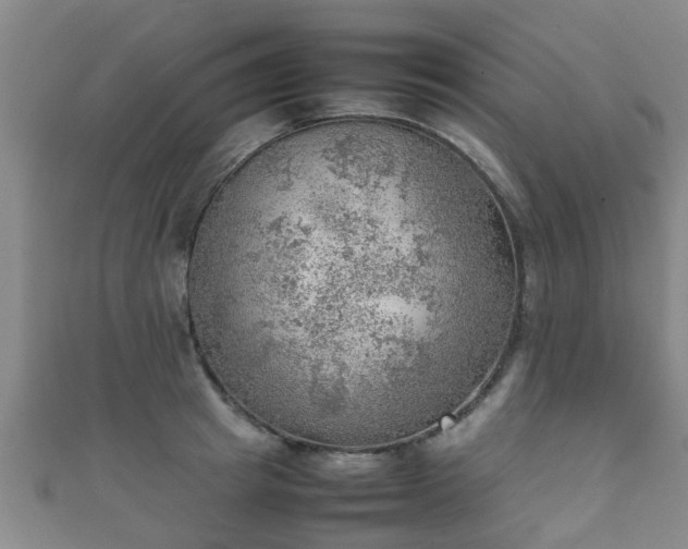 X0000111350849200907171141