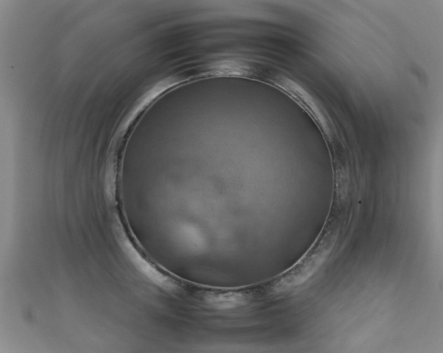 X0000111350851200907171141