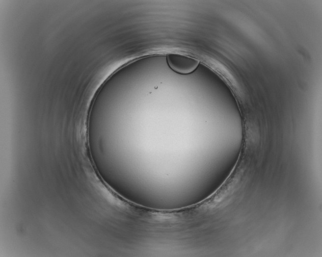 X0000111350852200907171141