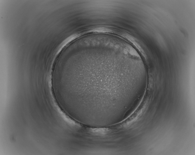 X0000111350853200907171141