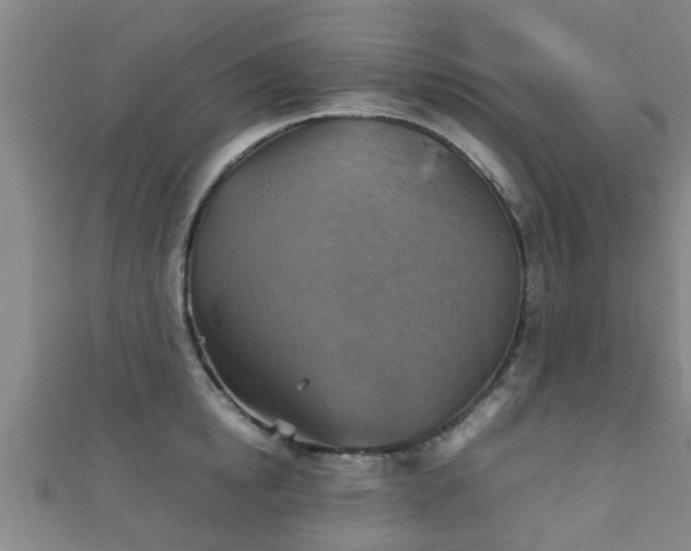 X0000111350854200907171141