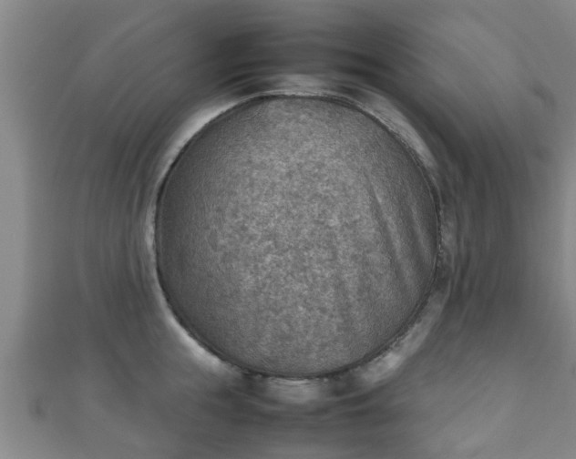 X0000111350855200907171141