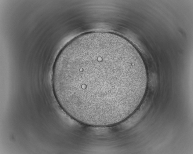 X0000111350856200907171141