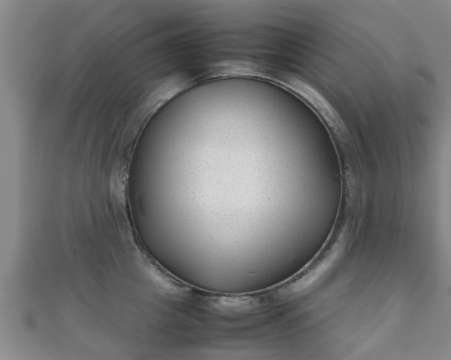 X0000111350857200907171141