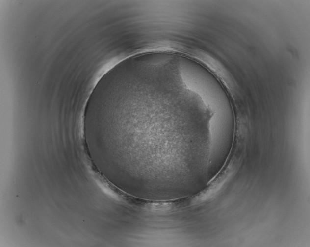 X0000111350858200907171141